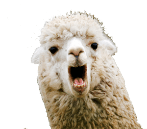 spittin-llama - KPIA - Kennedy Professional Insurance Agency